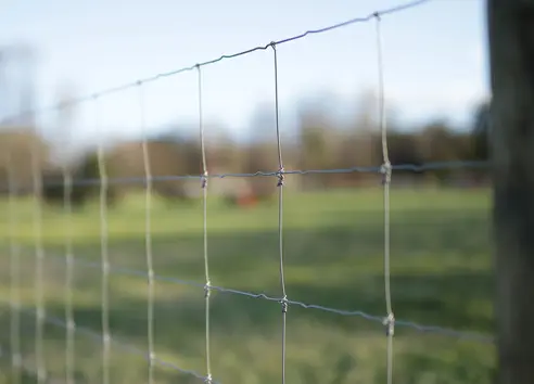Sustainable Fence