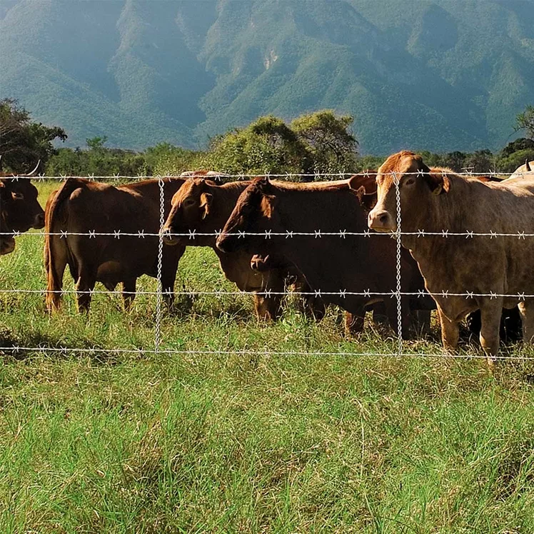 Cattle-Tuff - The Tough, Versatile Cattle Fence